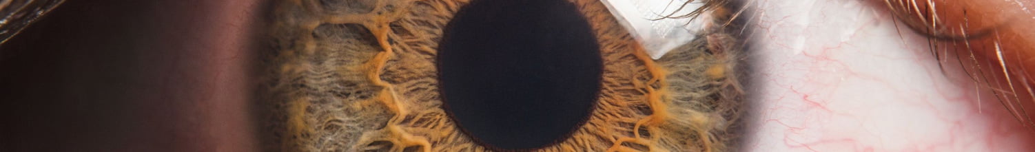 hazel eye very close up